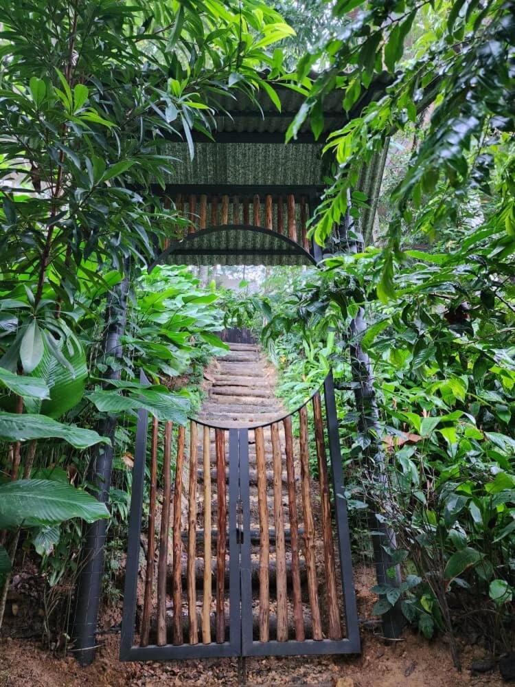 クアラ・クブ・バハル The Wildwood Retreat Kkbヴィラ エクステリア 写真